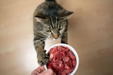 Katzenfutter_Fleischanteil_Aufmacher.jpg