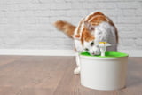 Trinkbrunnen_Katzen_Aufmacher.jpg
