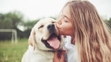 Hunde zeigen uns ihre Liebe
