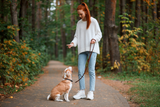 Grund_Kommando_Hund_Aufmacher.png