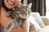 Katzenlady_Aufmacher