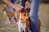 AdobeStock_120031678.jpeg