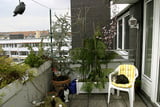 GK_Balkonien_fuer_Katzen.jpg