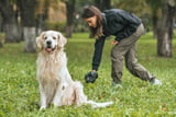 Hundekot_Aufmacher.jpg