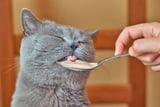 Rezepte.jpg