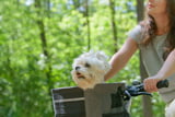 Hund_Fahrradkorb_Aufmacher.jpg