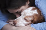 Hund einschläfern lassen