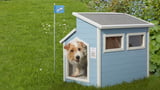 Hundehütte selber bauen
