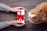 Geschenkideen Katzen