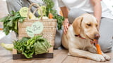 Barfen, Clean-Feeding und Co.: Was Foodtrends wirklich taugen
