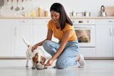 Nahrungsergänzungsmittel_Hund_Aufmacher.jpg
