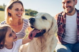 Mensch Hund Beziehung Kommunikation