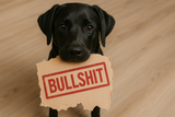 Grausamer TikTok Trend: Ice-Bucket-Challenge für Hunde