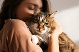 Geliebte_Katze_Jubilaeum.jpeg