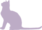 Katze