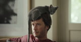 Katzen in der Werbung - die 10 besten Spots