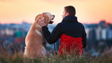 Training mit Hund: Wann, wie lange und wie oft?