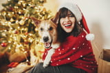 Weihnachtsgeschenke_Hund_Aufmacher.jpeg