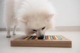 Futterspiele für Hunde