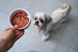 Nassfutter_Fuer_Hunde_Stiftung_Warentest_Napf.png