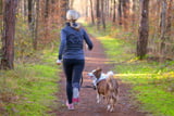 joggingleine-hund-laufguertel.jpg