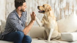 Hund und Mensch sind ein gutes Team