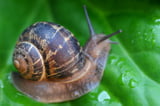 id-10022525.jpg