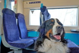 Deutsche_Bahn_Hunde_Aufmacher.jpg