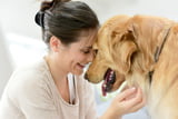 HundAllergiker_Aufmacher.jpg