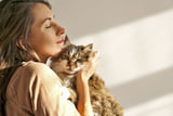 allergiker-katzen