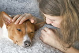 Hunde_Verhalten_Vor_Tod_Aufmacher.jpg