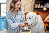 Hundefutter_ohne_Getreide_Aufmacher.jpg