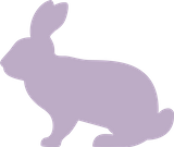 Kaninchen