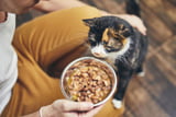 Nahrungsergänzungsmittel_Katze_Aufmacher.jpg