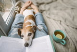 Buchempfehlungen Hunde