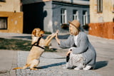 Hund Training