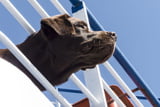 Kreuzfahrt_Aufmacher.jpg