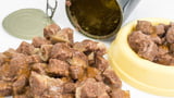 Futter-Etiketten richtig lesen: Was ist drin im Futter