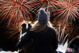 Hunde haben an SIlvester oft große Angst