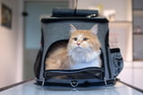 Transportbox_Aufmacher.jpg