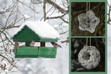 Vogelfutter_Aufmacher.jpg