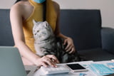 spartipps-katzenhalter-katzenhaltung-taschenrechner.jpg