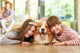 Hund_Kinder_Aufmacher.jpg