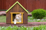 katzenhaus-outdoor-isoliert.jpg