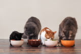 Futtermenge bestimmen Aufmache