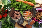 Hundefutter_Test_Aufmacher.png