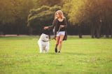 Hund und Frauchen