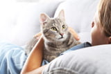 Katzen_denken_über_Menschen_Aufmacher.jpg