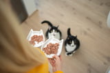 Katzenfutter_ohne_Zucker_Aufmacher.jpg