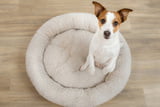 hundebetten-beliebt.jpg
